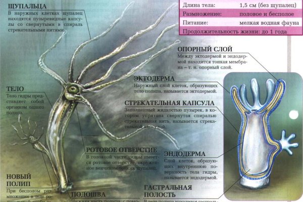 Кракен тор маркет пв