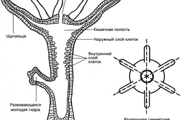 Ссылка на кракен тор kr2web in