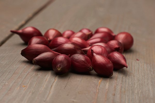Ровная ссылка на kraken onion top