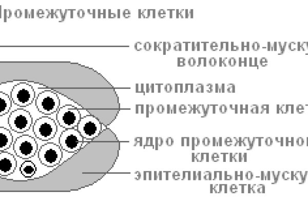 Kra33cc