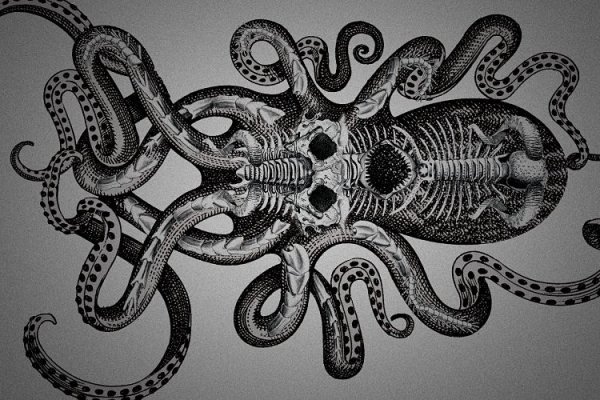 Kraken at зеркало