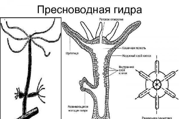 Кракен дарксайд