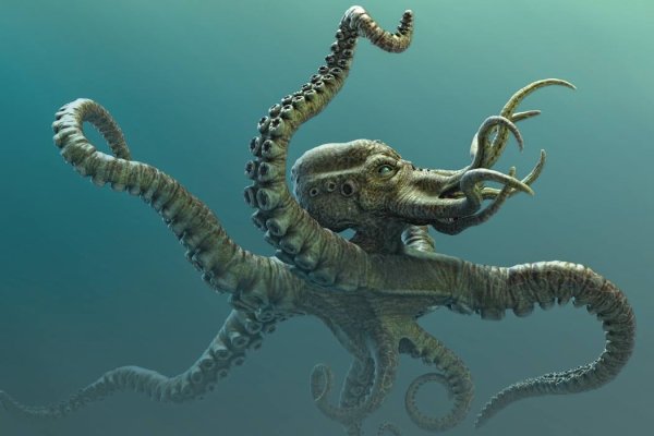 Kraken tor marketplace