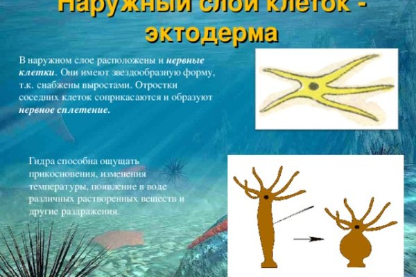 Kraken ссылка зеркало официальный сайт